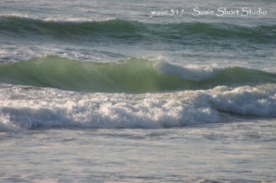 wave 317