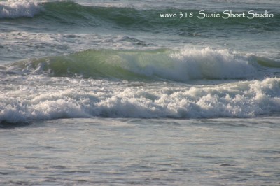 wave 318