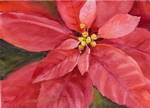 Red Poinsettia Watercolor Greeting Card